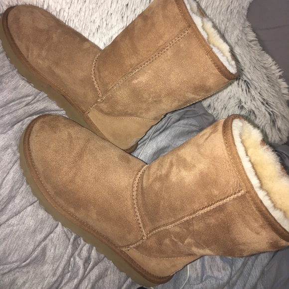 UGG Shoes - Short Ugg’s